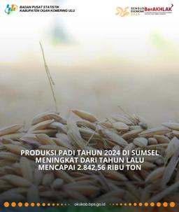 Rice production in South Sumatra in 2024