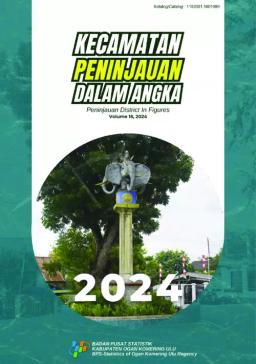 Kecamatan Peninjauan Dalam Angka 2024