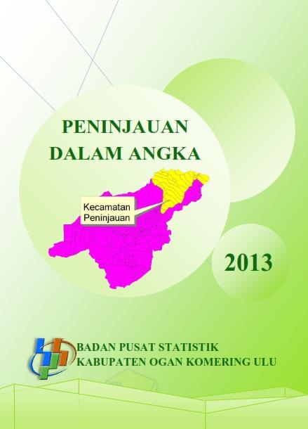 Peninjauan Dalam Angka 2013