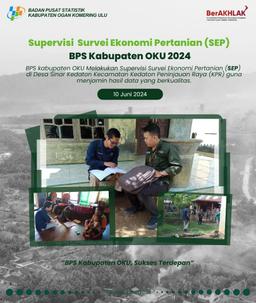 Supervision of Agricultural Economic Survey (SEP) OKU Regency BPS 2024