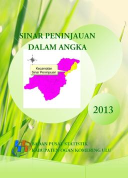 Sinar Peninjauan Dalam Angka 2013