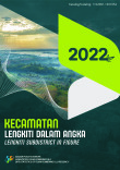 Kecamatan Lengkiti Dalam Angka 2022