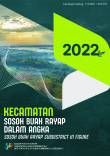 Kecamatan Sosoh Buay Rayap Dalam Angka 2022